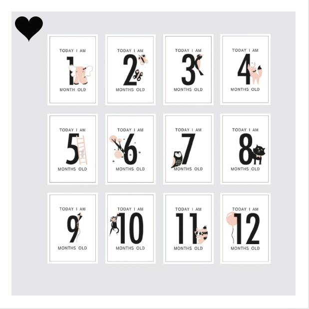 Baby Milestone Kaarten meisje (12st)
