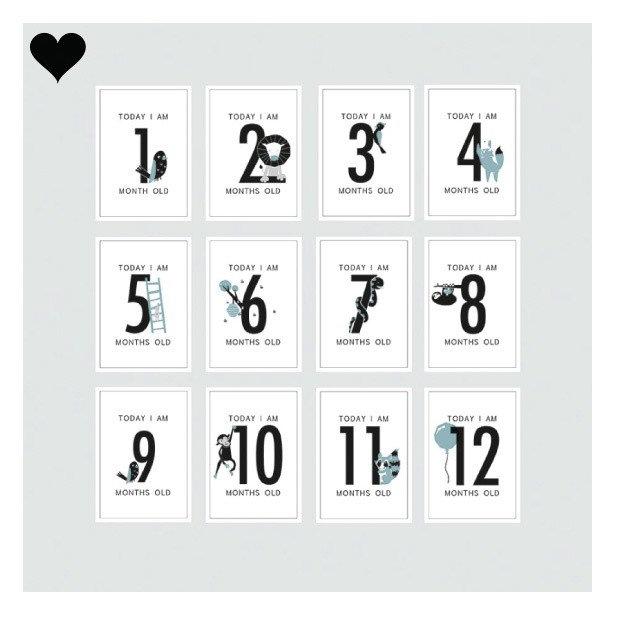 Baby Milestone Kaarten jongen (12st)