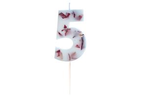 Bloemenkaars 5 Ginger Ray