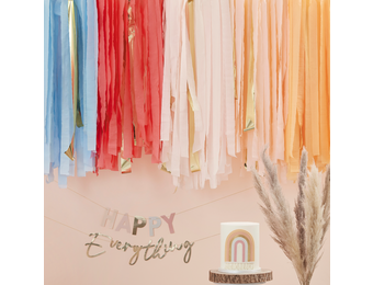 Backdrop Multicoloured Pastel ceiling streamer (200M) Happy Everything Ginger Ray