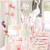 Servetten Magical Princess (16st) Meri Meri