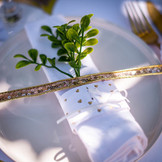 Plaklint pailletten goud