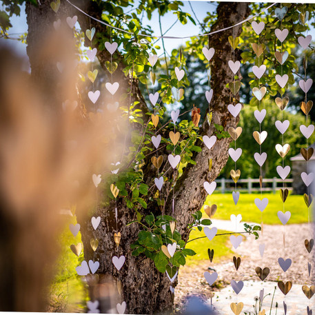 Backdrop Golden Hearts