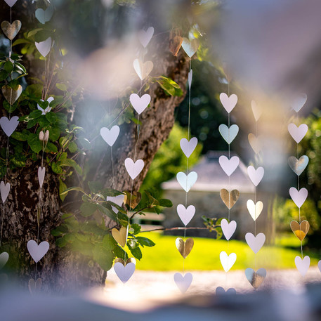 Backdrop Golden Hearts