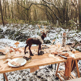 Servetringen Bambi (8st)