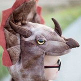 Verkleedcape Triceratops The Great Pretenders