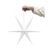 Papieren sterren wit (2st) Delight Department