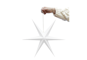 Papieren sterren wit (2st) Delight Department