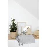 Kerstster licht grijs (2st) Delight Department