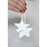 Kersthanger Star Delight Department