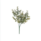 Eucalyptus boeket (35cm)