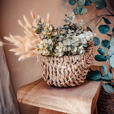 Eucalyptus boeket (35cm)