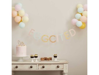 Ballonnen slinger Eggcited Ginger Ray