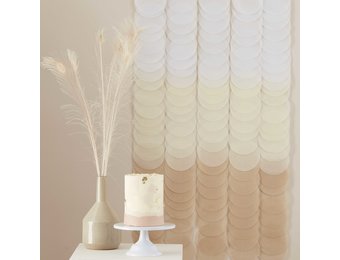 Backdrop Bruin Ombre Ginger Ray