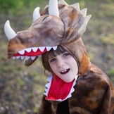 Cape Grandasaurus Triceratops met klauwen