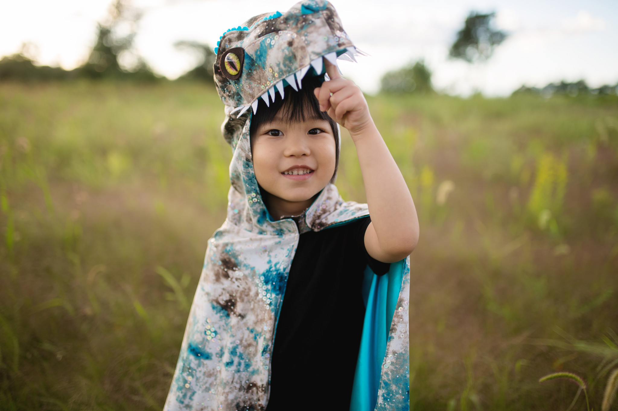 Cape Raptor The Great Pretenders