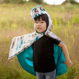 Cape Raptor The Great Pretenders