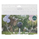 Feestpakket Gender Reveal Hello Baby Ginger Ray