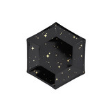 Gebaksbordjes stars (6st) Black & Gold