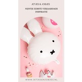 Nijntje bordjes (8st)