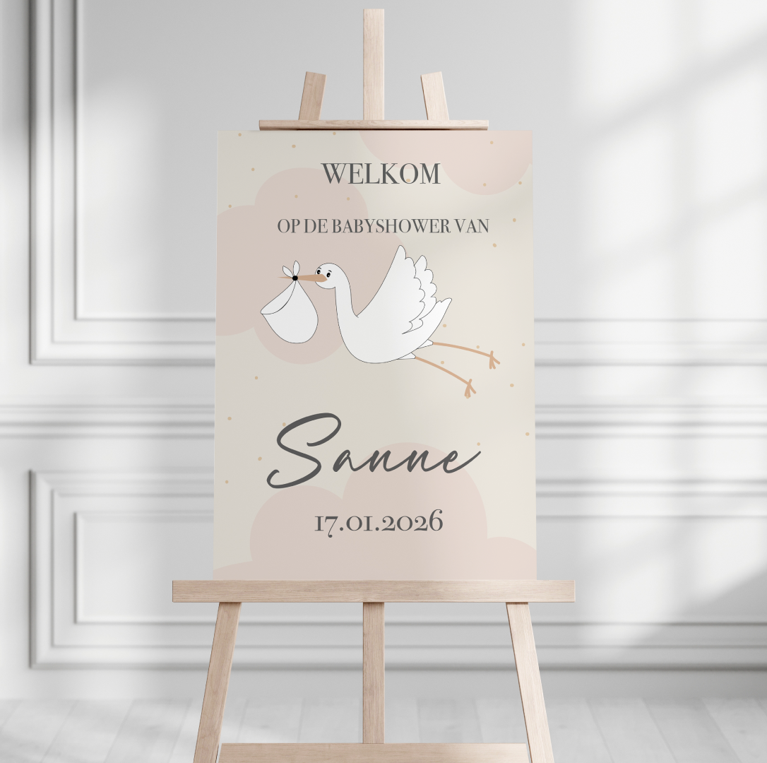 Welkomstbord Babyshower Hello Little One roze – gepersonaliseerd met naam – meisje