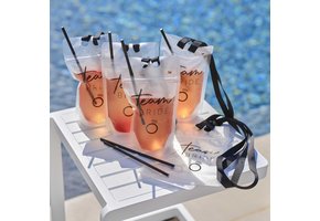 Drinkzakjes Team Bride (6st) Ginger Ray