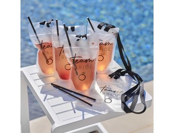 Drinkzakjes Team Bride (6st) Ginger Ray