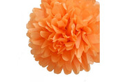 Pompon oranje