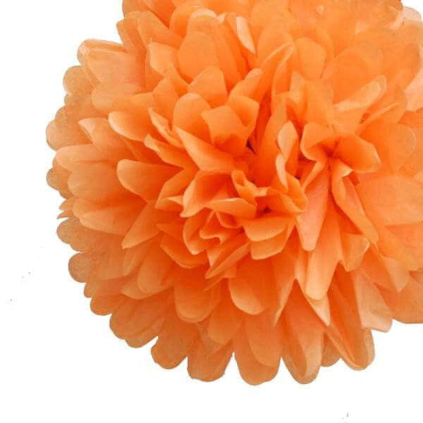 Pompon oranje