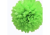 Pompon appel groen