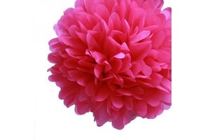 Pompon fuchsia