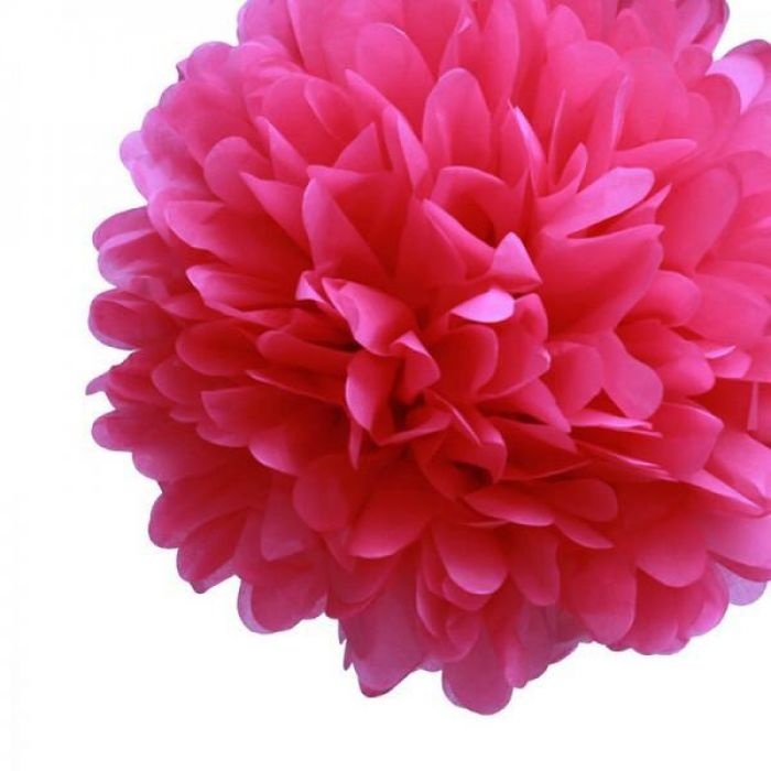 Pompon fuchsia