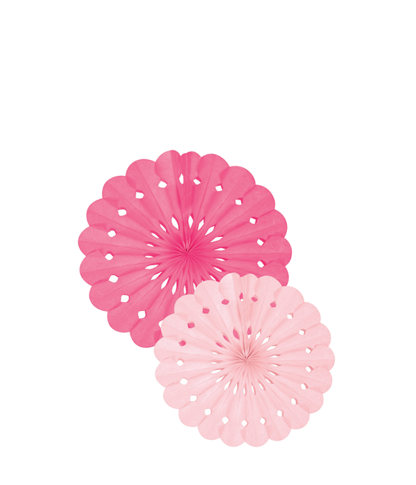 Waaier set roze (2st) Delight Department