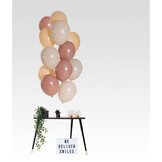 Ballonnenmix blush (12st)