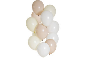 Ballonnenmix nude (12st)