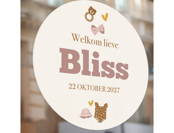 Geboorte raamsticker hoera een meisje