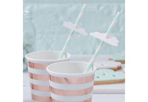 Hello world rietjes (16st) Ginger Ray