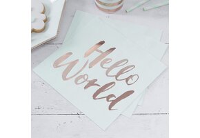 Hello world babyshower servetten (20st) Ginger Ray