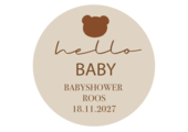 Sticker Babyshower Teddy Bear (5st)