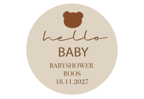 Sticker Babyshower Teddy Bear (5st)