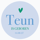 Geboorte raamsticker color blocking blue and green