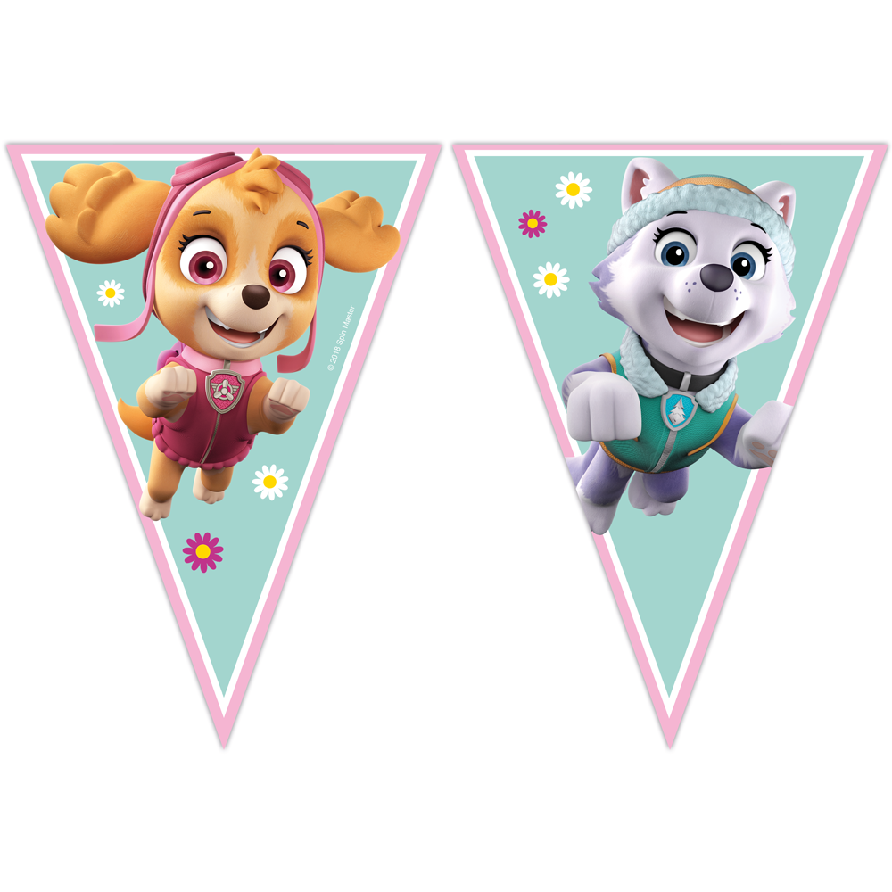 Paw Patrol Pink Slinger Sky & Everest
