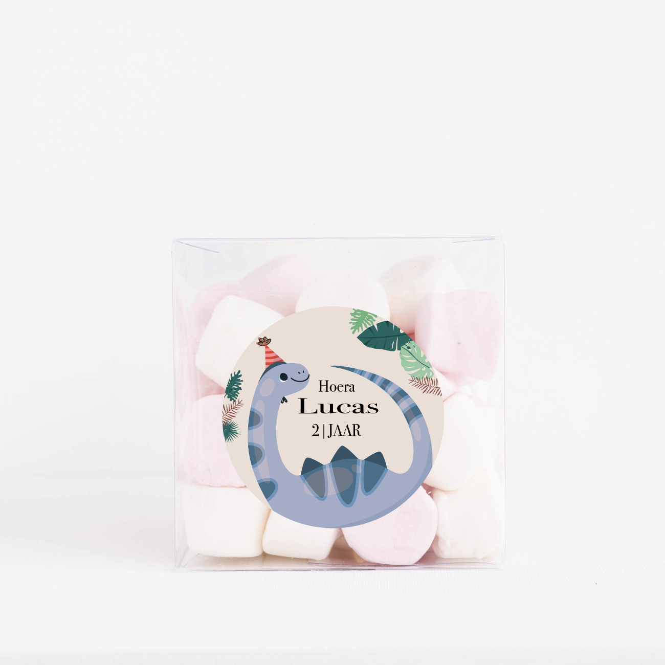 Traktatiedoosje gepersonaliseerd Dinosaur Kingdom (5st)