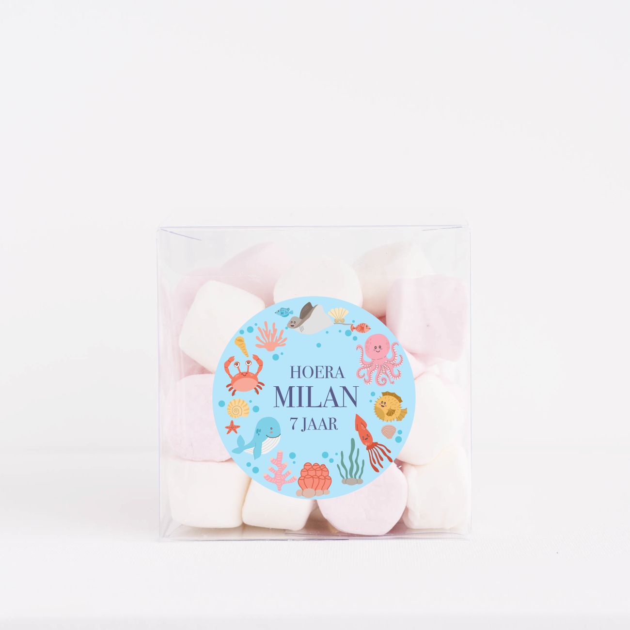 Traktatiedoosje gepersonaliseerd Oceaan (5st)