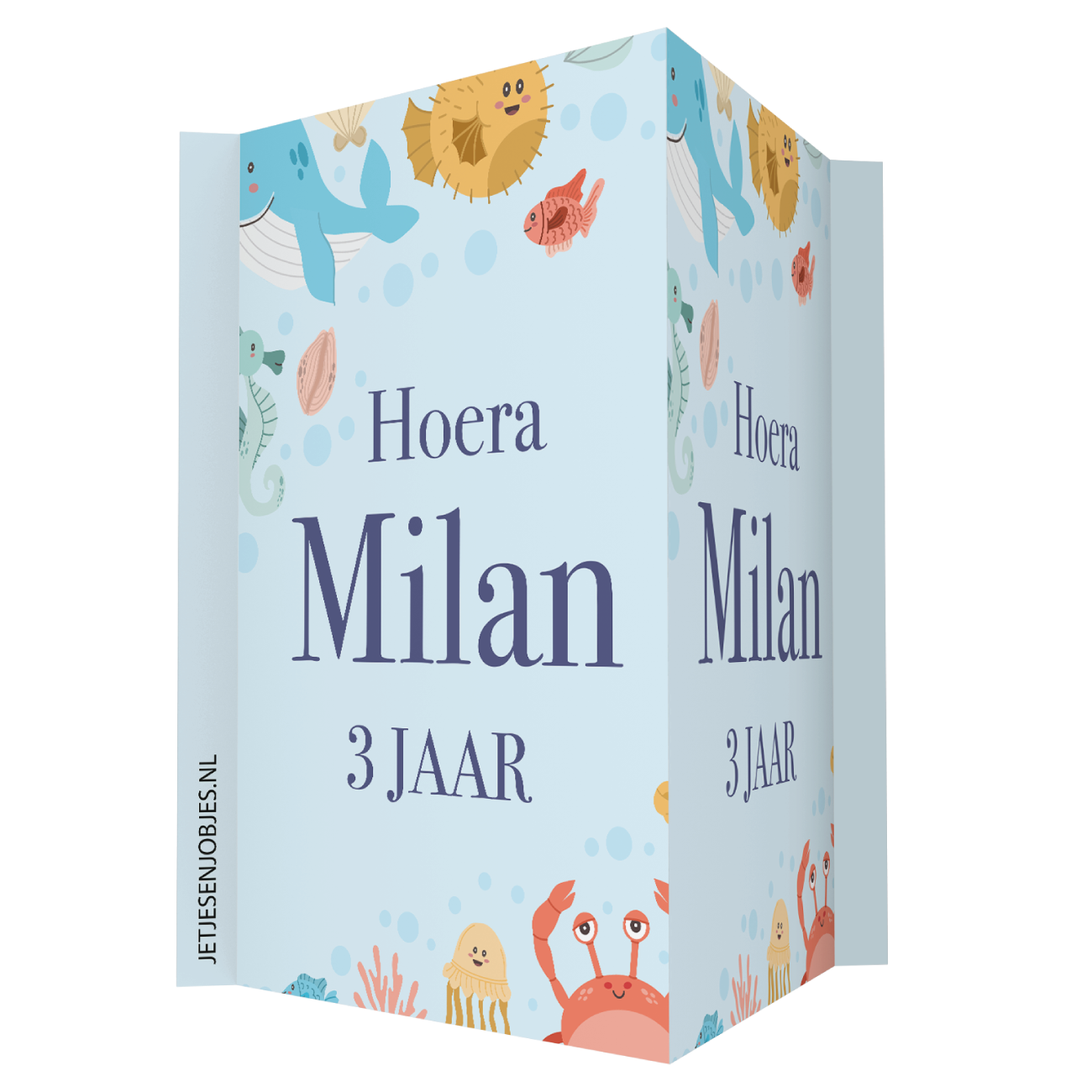 Raambord XL verjaardag oceaan