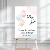Welkomstbord Gender Reveal Ballonnen