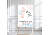 Welkomstbord Gender Reveal Ballonnen