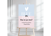 Welkomstbord Gender Reveal Blue or Pink