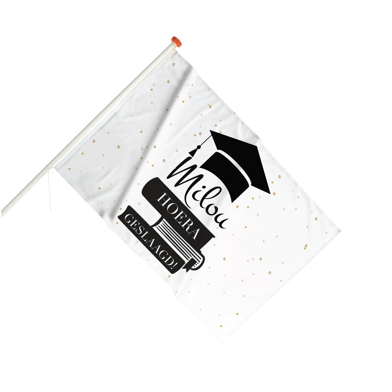 Vlag Geslaagd met boeken