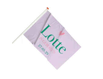 Geboortevlag color blocking pink and green